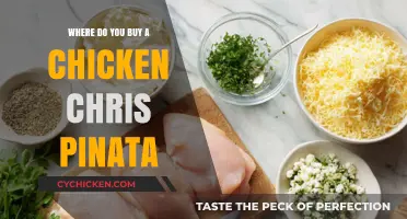Where to Buy a Chicken Chris Piñata: Ultimate Shopping Guide