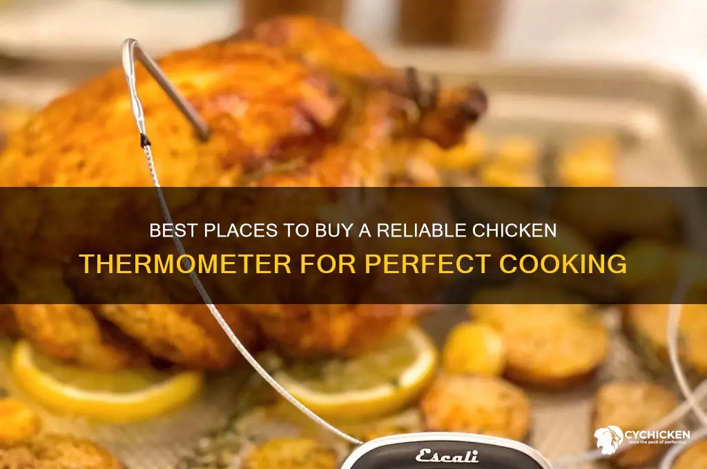 where do you buy a chicken thermometer