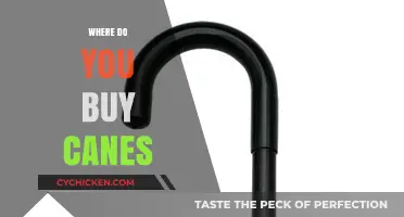 Where to Buy Canes: Top Retailers and Online Stores Guide