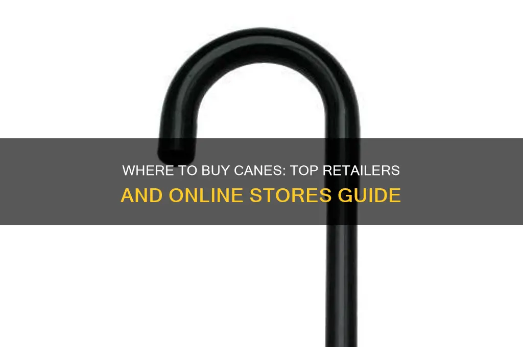 where do you buy canes