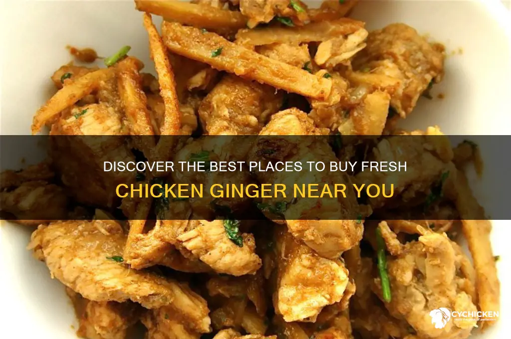 where do you buy chicken ginger