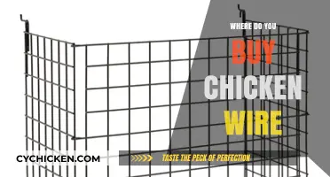 Where to Buy Chicken Wire: Top Retailers and Online Options