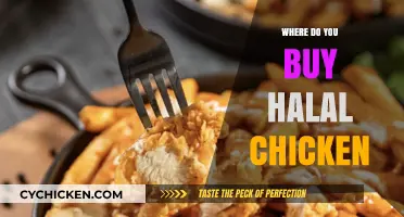 Where to Buy Halal Chicken: A Comprehensive Guide for Consumers