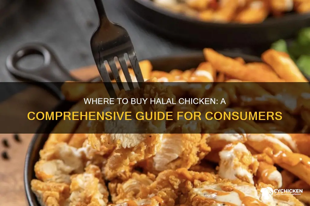 where do you buy halal chicken