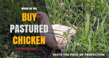 Where to Buy Pastured Chicken: A Guide to Ethical Sources