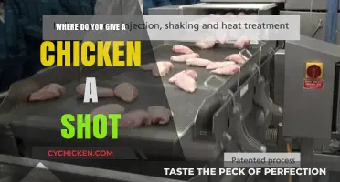 Administering Injections to Chickens: Proper Locations and Techniques Explained