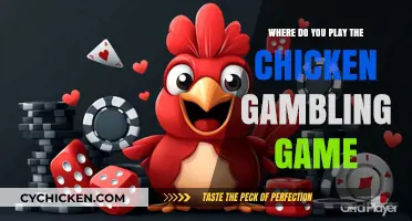 Discover the Best Locations to Play the Chicken Gambling Game