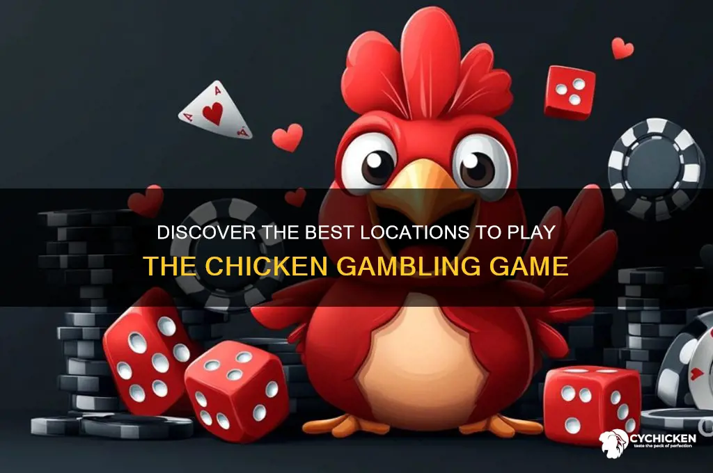 where do you play the chicken gambling game