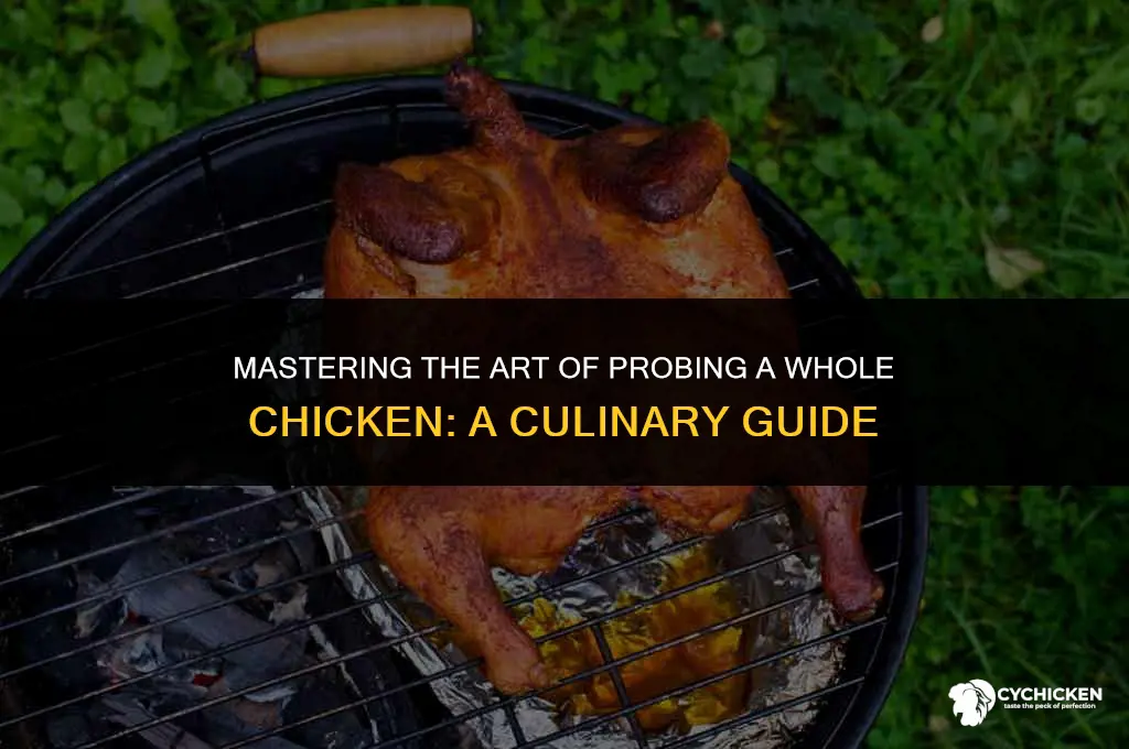 where do you probe a whole chicken