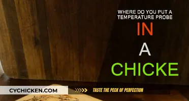 The Best Place for a Temperature Probe in Chicken