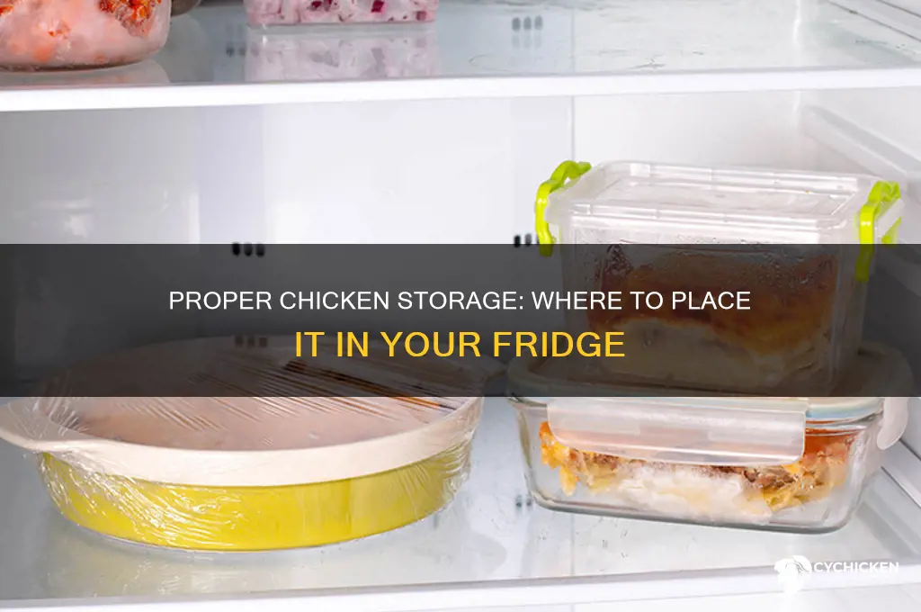 where do you put chicken in the fridge