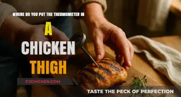 Perfectly Cooked Chicken Thighs: Thermometer Placement Tips for Juiciness