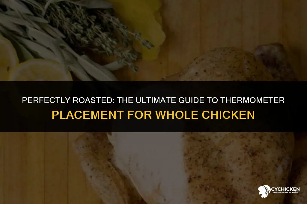 where do you put the therometer for a whole chicken