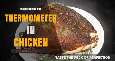 Perfectly Cooked Chicken: Correct Thermometer Placement for Juicy Results