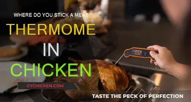 The Best Place to Stick a Meat Thermometer in Chicken