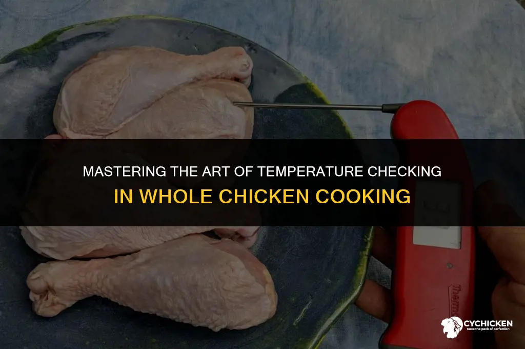 where do you take the temp of a whole chicken
