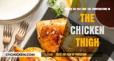 Perfectly Cooked Chicken Thighs: Optimal Temperature-Taking Spot Guide