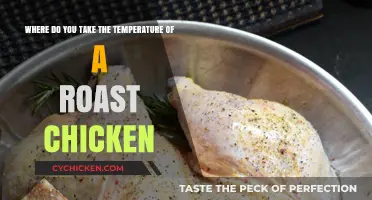 Perfect Roast Chicken: Best Spot to Check Internal Temperature