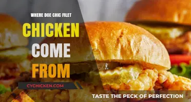 Unveiling the Origins of Chick-fil-A's Signature Chicken Sources
