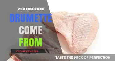 Unveiling the Chicken Drumette: Its Origin and Culinary Journey