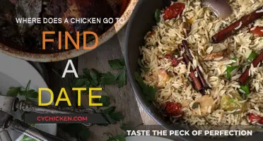 Finding Love: Where Chickens Go on Dates