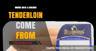 Unveiling the Origin: Where Chicken Tenderloin Comes From Explained