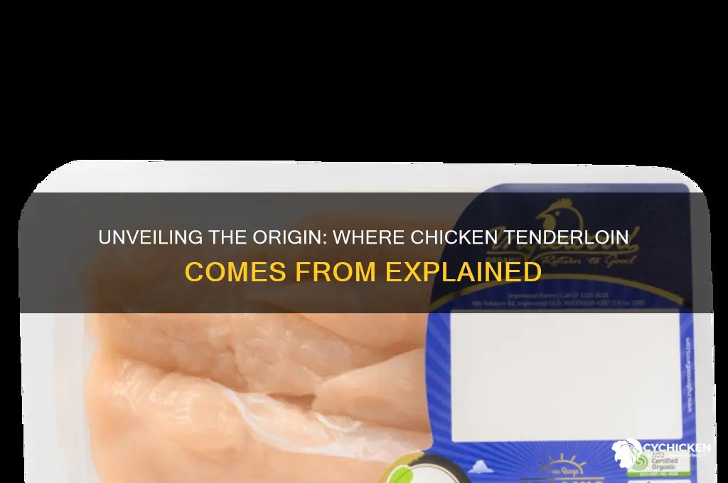 where does a chicken tenderloin come from