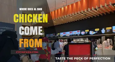 Unveiling Al Baik Chicken's Origins: A Journey to Its Saudi Roots
