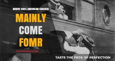 Tracing the Origins: Where Does Most American Chicken Come From?