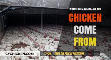 Unveiling the Source: Where Does Australian KFC Chicken Originate?