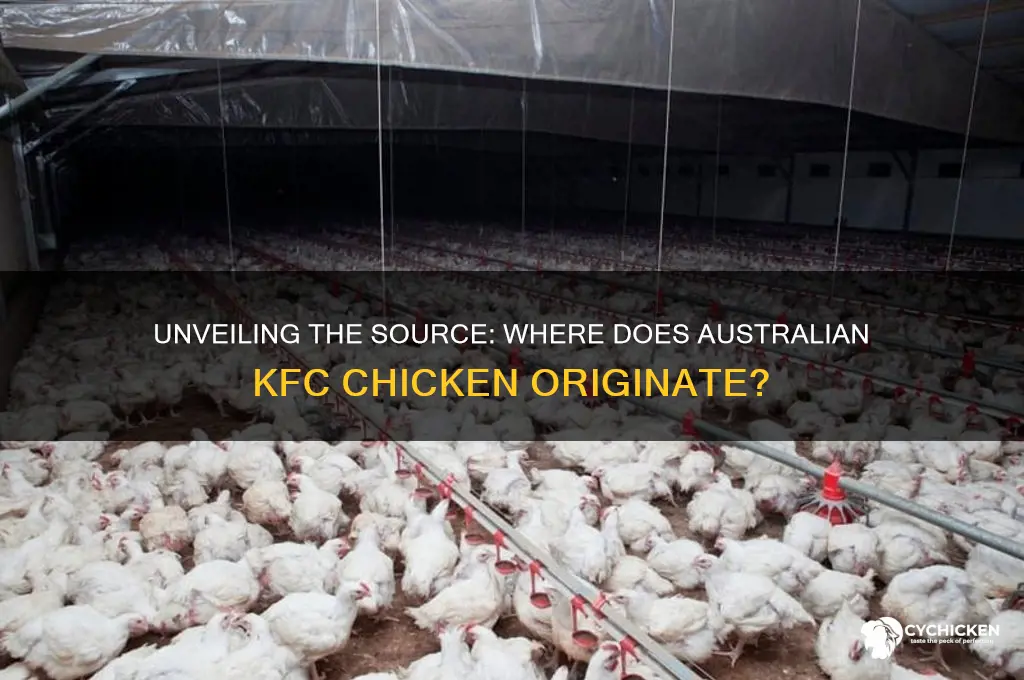 where does australian kfc chicken come from