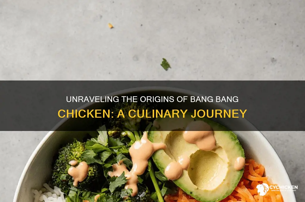 where does bang bang chicken come from