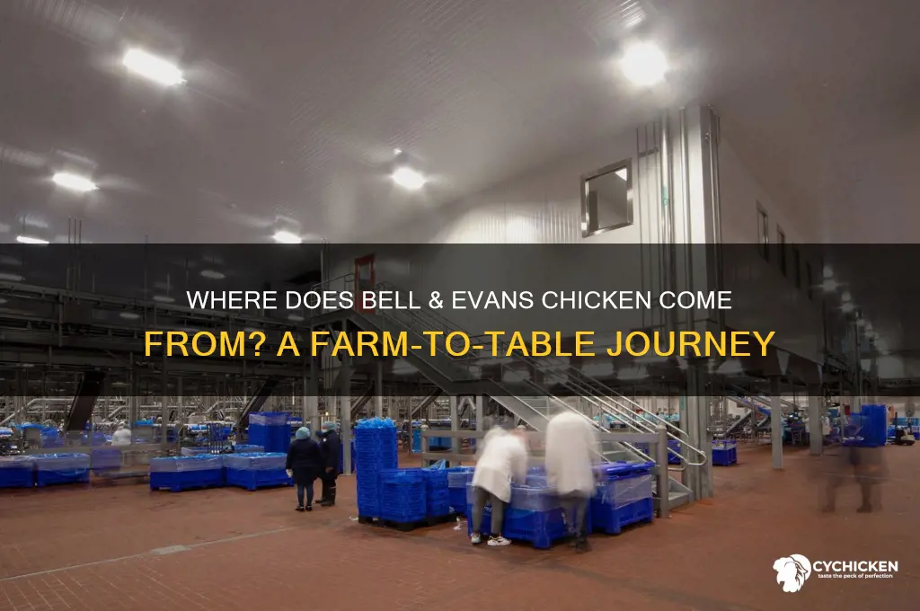 where does bell and evans chicken come from