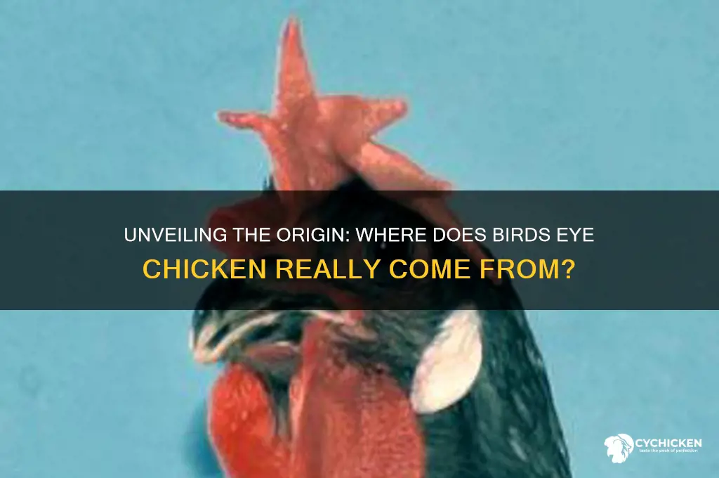where does birds eye chicken come from
