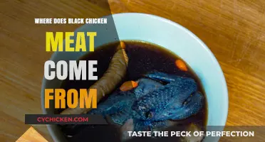 Unveiling the Origins of Black Chicken Meat: A Culinary Mystery Explained