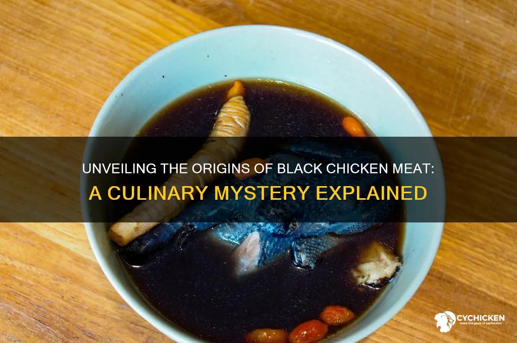 where does black chicken meat come from