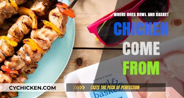 Uncovering the Origins of Bowl and Basket Chicken: A Culinary Journey