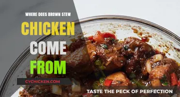 Exploring the Rich History and Origins of Brown Stew Chicken