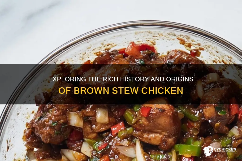 where does brown stew chicken come from
