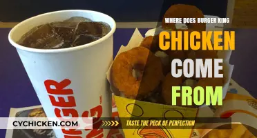 Unveiling Burger King's Chicken Sourcing: Origins and Supply Chain Insights