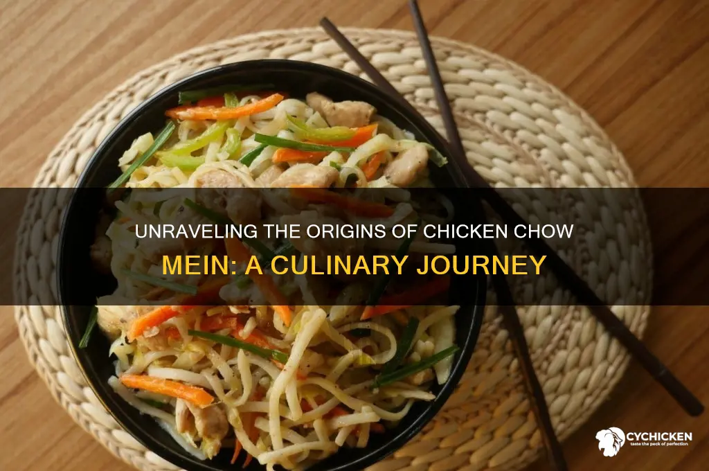 where does chicken chow mein come from