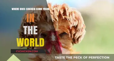 Exploring the Global Origins of Chicken: A Culinary Journey