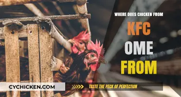 Unveiling KFC's Chicken Origins: Farms, Suppliers, and Quality Standards