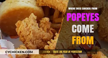 Unveiling Popeyes' Chicken Origins: A Journey from Farm to Fryer
