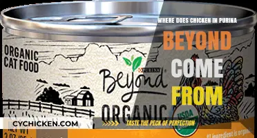 Purina Beyond Chicken Sources: Tracing the Origins of Quality Poultry
