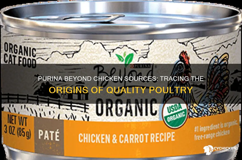 where does chicken in purina beyond come from