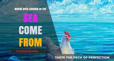 Unveiling the Origins: Where Does Chicken of the Sea Come From?