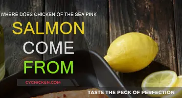 Chicken of the Sea: Pink Salmon's Origin Story