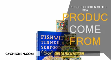 Chicken of the Sea: A Journey from Ocean to Table