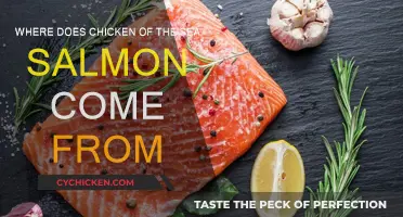 Chicken of the Sea Salmon: Where Does it Swim From?